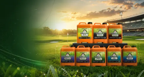 FoliMax products